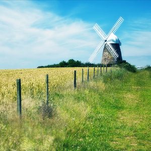 战锤大战福瑞动漫官网入口
