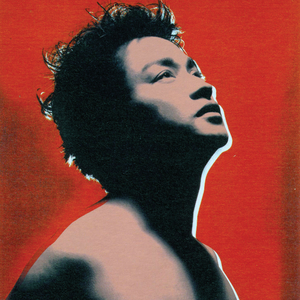 战锤大战福瑞动漫官网入口
