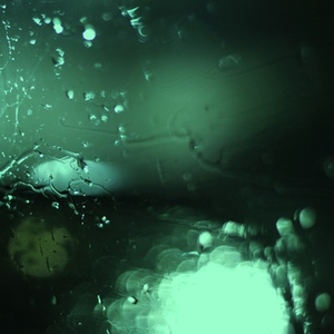 战锤大战福瑞动漫官网入口
